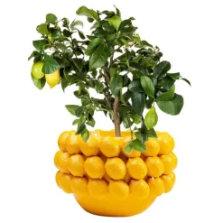 KARE Design Cachepot décoratif Lemon Juice 22cm> Accessoires