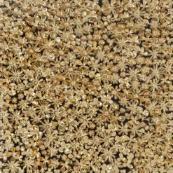 KARE Design Cadre décoratif Gold Flower 120x120cm> Accessoires