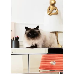 KARE Design Console Luxury Pearl><noscript><img width=