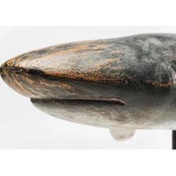 KARE Design Figurine décorative Shark Base 59cm><noscript><img width=