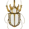 KARE Design Objet mural Beetle miroir 25x39cm> Accessoires