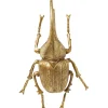 KARE Design Objet mural Herkules Beetle doré> Accessoires