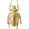 KARE Design Objet mural Longicorn Beetle doré> Accessoires