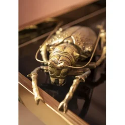 KARE Design Objet mural Longicorn Beetle doré><noscript><img width=