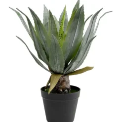 KARE Design Plante décorative Agave 40cm> Accessoires