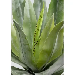 KARE Design Plante décorative Agave 40cm> Accessoires