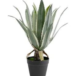 KARE Design Plante décorative Agave 50cm> Accessoires