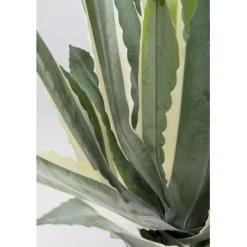 KARE Design Plante décorative Agave 50cm> Accessoires
