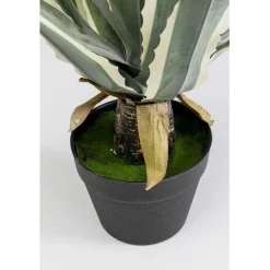 KARE Design Plante décorative Agave 50cm><noscript><img width=