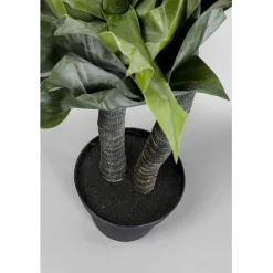 KARE Design Plante décorative Agave 120cm><noscript><img width=