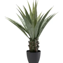 KARE Design Plante décorative Agave 85cm> Accessoires