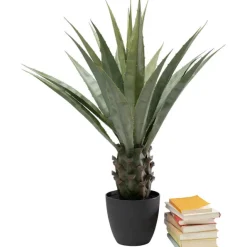 KARE Design Plante décorative Agave 85cm> Accessoires