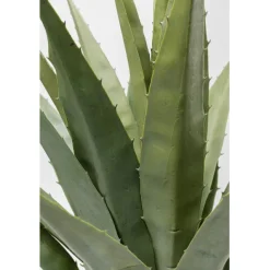 KARE Design Plante décorative Agave 85cm><noscript><img width=