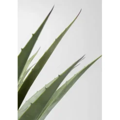 KARE Design Plante décorative Agave 85cm><noscript><img width=