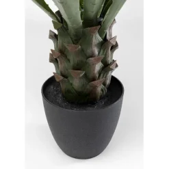 KARE Design Plante décorative Agave 85cm><noscript><img width=