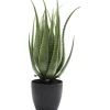KARE Design Plante décorative Aloe 69cm> Accessoires