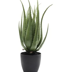 KARE Design Plante décorative Aloe 69cm> Accessoires