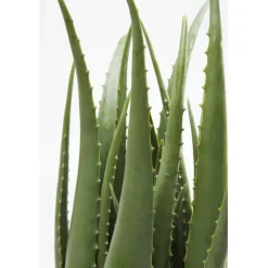 KARE Design Plante décorative Aloe 69cm> Accessoires