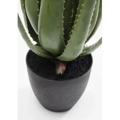 KARE Design Plante décorative Aloe 69cm><noscript><img width=