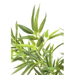KARE Design Plante décorative Bamboo Tree 200cm> Accessoires