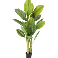 KARE Design Plante décorative Banana Tree 180cm> Accessoires