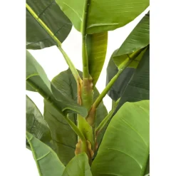 KARE Design Plante décorative Banana Tree 180cm><noscript><img width=