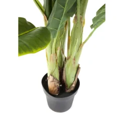 KARE Design Plante décorative Banana Tree 180cm><noscript><img width=