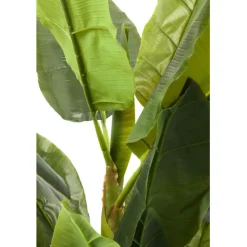 KARE Design Plante décorative Banana Tree 180cm><noscript><img width=