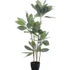 KARE Design Plante décorative Calathea 140cm> Accessoires