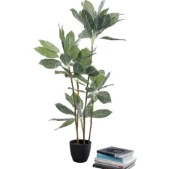 KARE Design Plante décorative Calathea 140cm> Accessoires