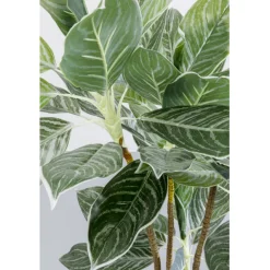 KARE Design Plante décorative Calathea 140cm><noscript><img width=