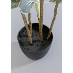KARE Design Plante décorative Calathea 140cm><noscript><img width=