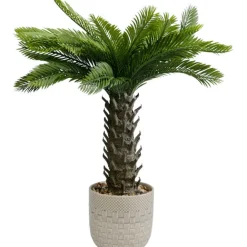 KARE Design Plante décorative Cycas 70cm> Accessoires