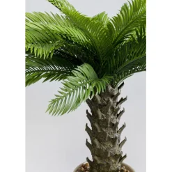 KARE Design Plante décorative Cycas 70cm> Accessoires