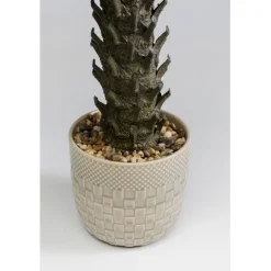 KARE Design Plante décorative Cycas 70cm><noscript><img width=