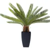 KARE Design Plante décorative Cycas Tree 78cm> Accessoires