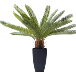 KARE Design Plante décorative Cycas Tree 78cm> Accessoires