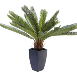 KARE Design Plante décorative Cycas Tree 78cm><noscript><img width=