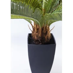 KARE Design Plante décorative Cycas Tree 78cm><noscript><img width=