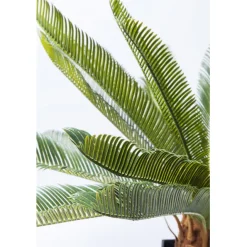 KARE Design Plante décorative Cycas Tree 78cm><noscript><img width=