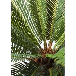 KARE Design Plante décorative Cycas Tree 78cm><noscript><img width=