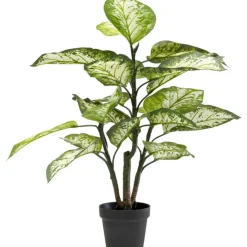 KARE Design Plante décorative Dieffenbachie 100cm> Accessoires