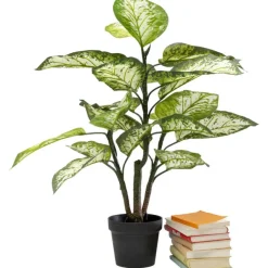 KARE Design Plante décorative Dieffenbachie 100cm> Accessoires
