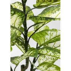 KARE Design Plante décorative Dieffenbachie 100cm><noscript><img width=