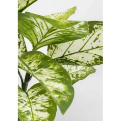 KARE Design Plante décorative Dieffenbachie 100cm><noscript><img width=