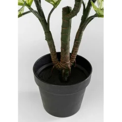 KARE Design Plante décorative Dieffenbachie 100cm><noscript><img width=