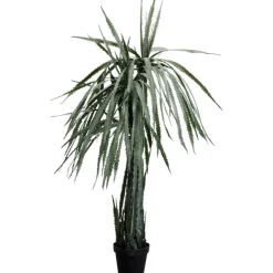 KARE Design Plante décorative Dragon Tree 155cm> Accessoires