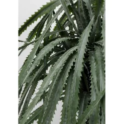 KARE Design Plante décorative Dragon Tree 155cm><noscript><img width=