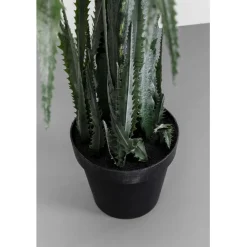 KARE Design Plante décorative Dragon Tree 155cm><noscript><img width=