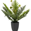 KARE Design Plante décorative Farn 55cm> Accessoires